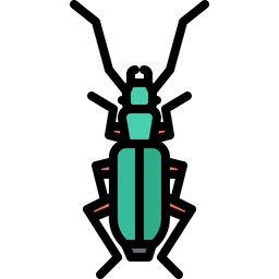 Beetle  Icon