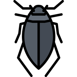 Beetle  Icon