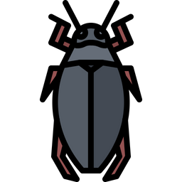 Beetle  Icon