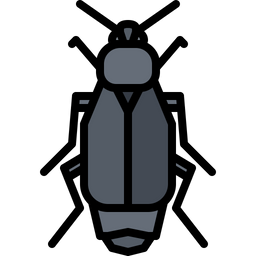 Beetle  Icon