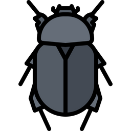 Beetle  Icon