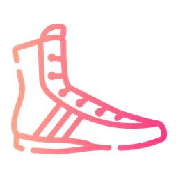 Boxing Shoes  Icon