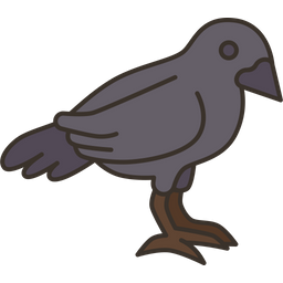 Crow  Icon