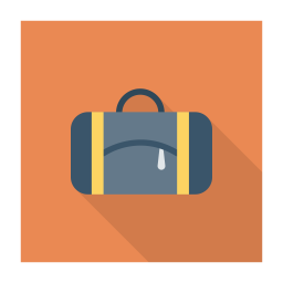 Bag  Icon