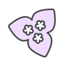 Flower  Icon