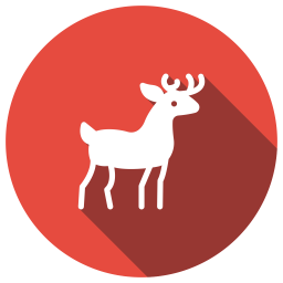 Deer  Icon