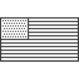 American Flag  Icon