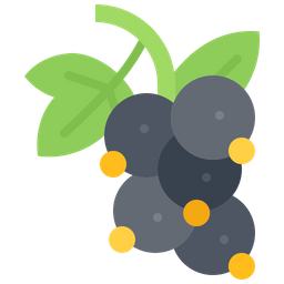 Currant  Icon