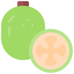 Feijoa  Icon