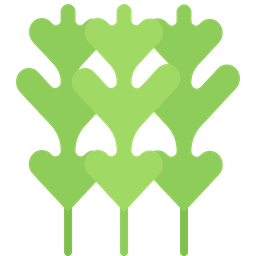 Arugula  Icon