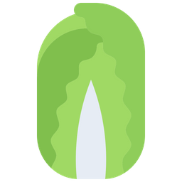 Cabbage  Icon