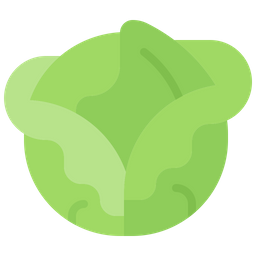 Cabbage  Icon