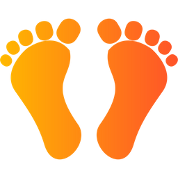 Digital footprint  Icon