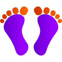 Digital footprint  Icon