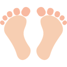 Digital footprint  Icon