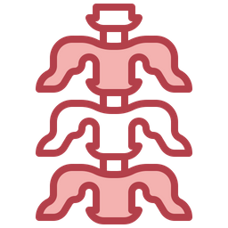 Backbone  Icon