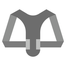 Back Support Belt  Icon