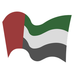 Flag  Icon