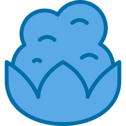 Broccoli  Icon