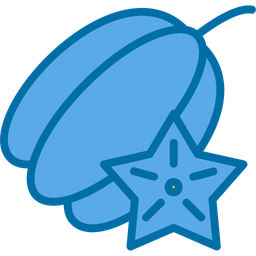 Carambola  Icon