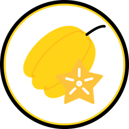 Carambola  Icon