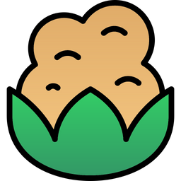 Broccoli  Icon