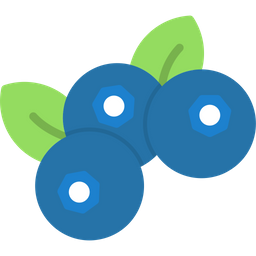 Blueberry  Icon