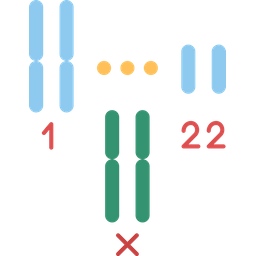 Citogenética  Ícone