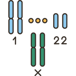 Cytogenetics  Icon