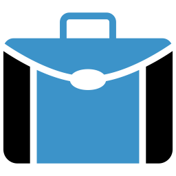 Bag  Icon