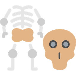 Femur  Icon