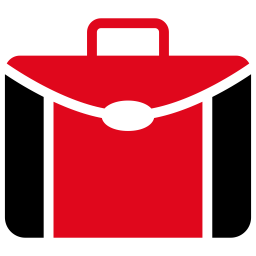 Bag  Icon