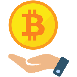 Bitcoin Payment  Icon