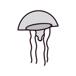 Jellyfish  Icon