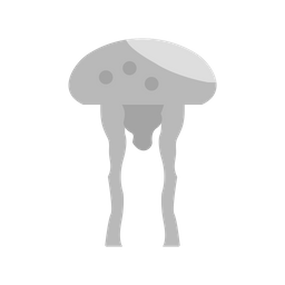 Jellyfish  Icon