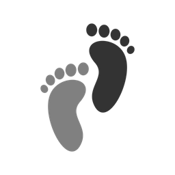 Footprints  Icon