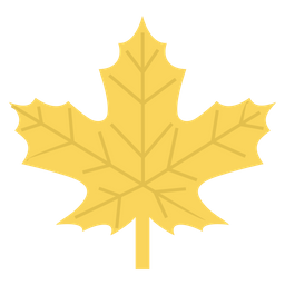 Maple Leaf  Icon