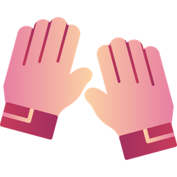 Gloves  Icon