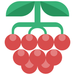 Berry  Icon