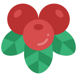 Cranberry  Icon