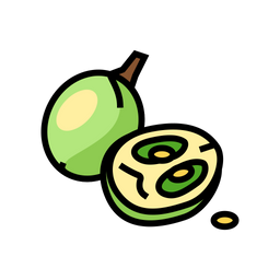 Grape Seed  Icon