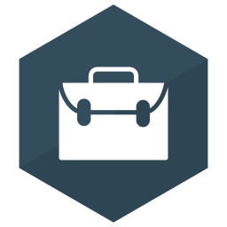 Briefcase  Icon