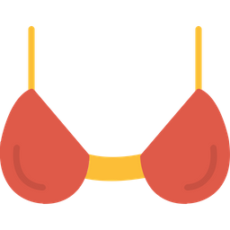 Bra  Icon