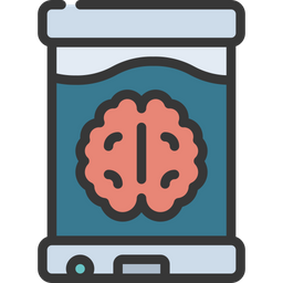 Brain  Icon