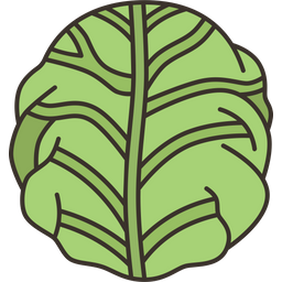 Cabbage  Icon