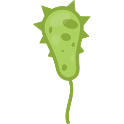 Vibrio cholerae  Icon