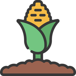 Corn Plant Corn Plant Icon