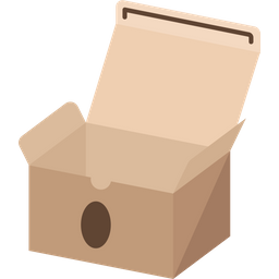 Cardboard  Icon