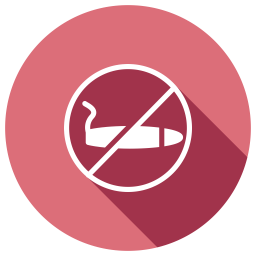 No Smoking  Icon