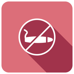 No Smoking  Icon